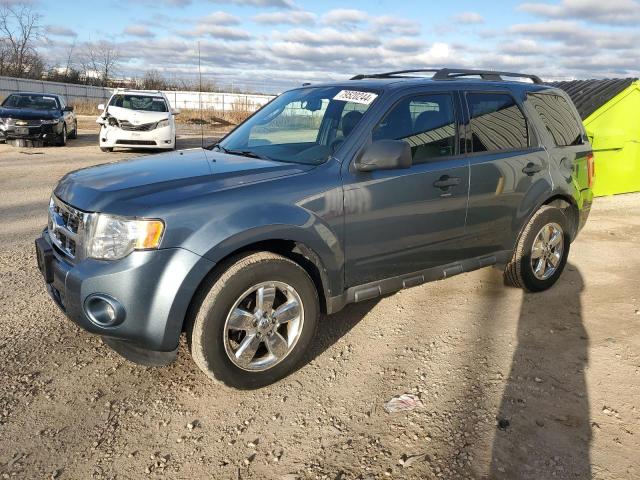 ford escape xlt 2010 1fmcu9dg3aka85883