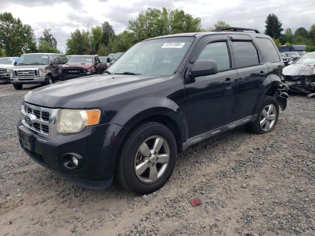 ford escape xlt 2011 1fmcu9dg3bka42808