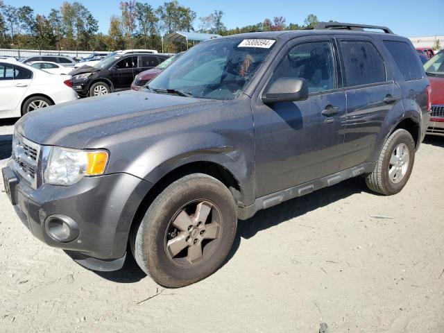 ford escape xlt 2011 1fmcu9dg3bka73122