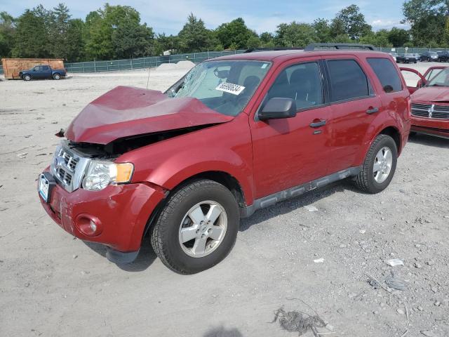 ford escape xlt 2011 1fmcu9dg3bkc12035