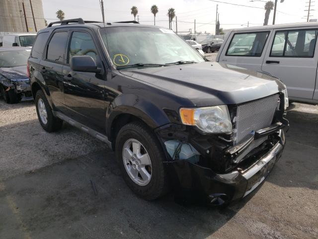 ford escape xlt 2010 1fmcu9dg4akc16075