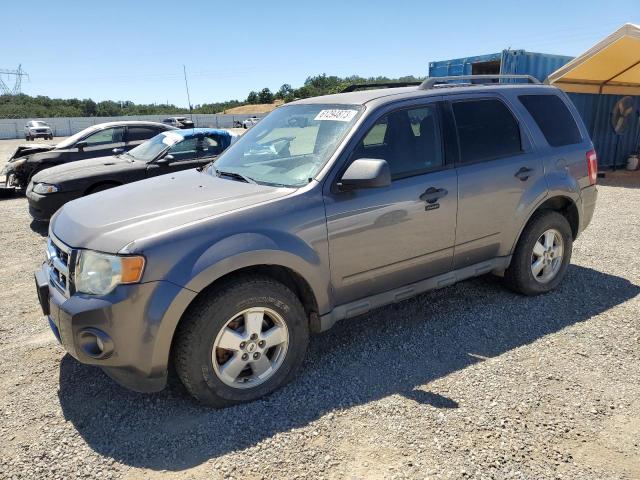 ford escape xlt 2010 1fmcu9dg4akc23091