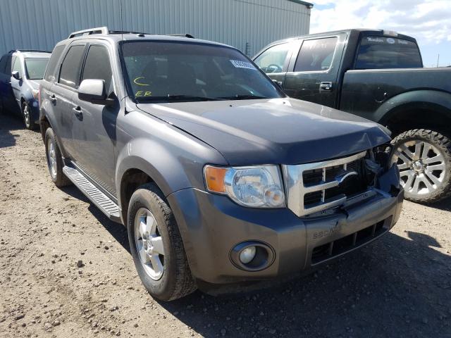 ford escape xlt 2010 1fmcu9dg5akc87155