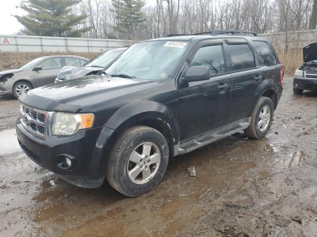 ford escape xlt 2010 1fmcu9dg5akd35320