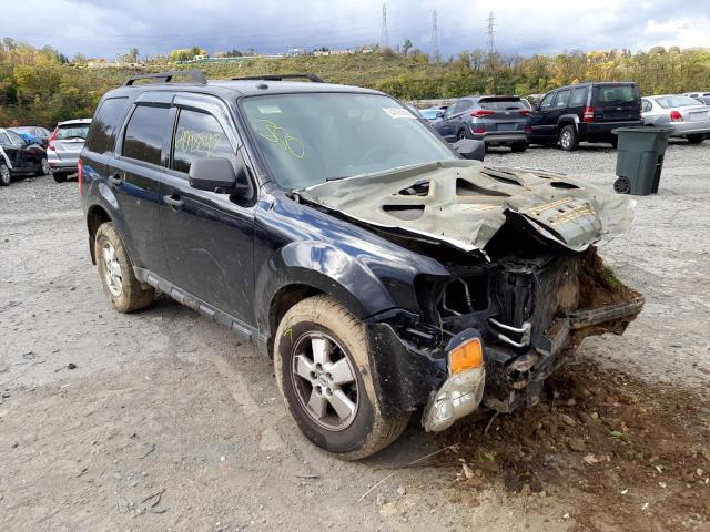 ford escape xlt 2012 1fmcu9dg5cka33982