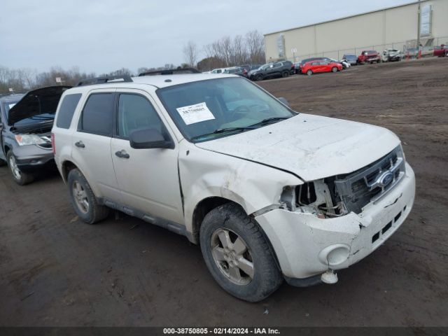 ford escape 2010 1fmcu9dg7akb66109