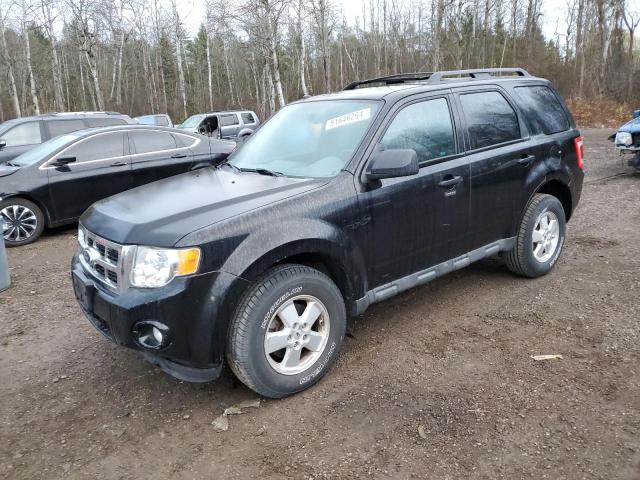 ford escape xlt 2010 1fmcu9dg7akb86280