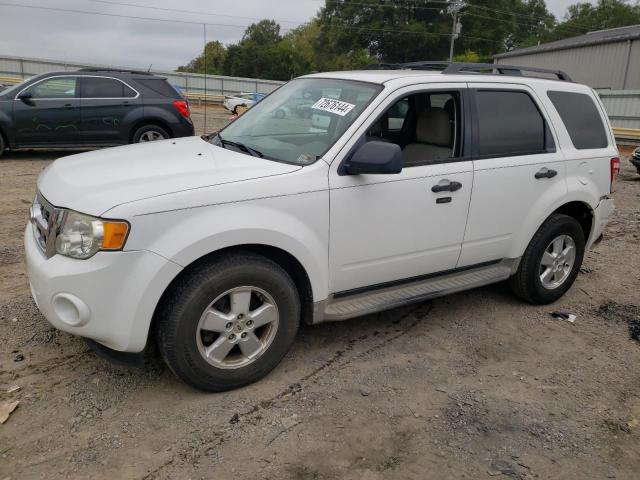 ford escape xlt 2010 1fmcu9dg7akc22145