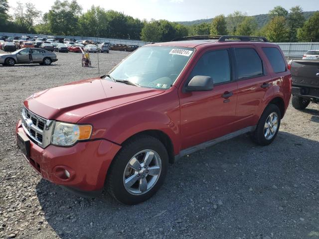 ford escape xlt 2010 1fmcu9dg7akd42172