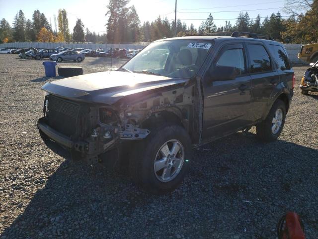 ford escape xlt 2011 1fmcu9dg7bkb25948