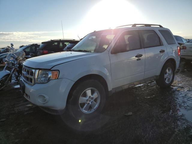 ford escape xlt 2012 1fmcu9dg7ckb42914