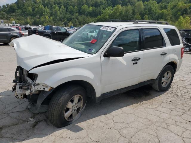 ford escape xlt 2010 1fmcu9dg8akd28006