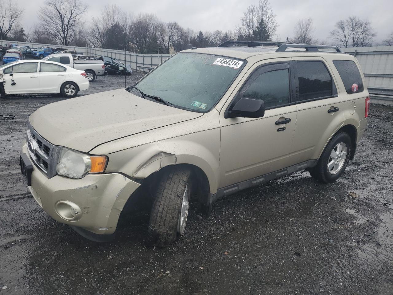 ford escape 2012 1fmcu9dg8ckc34243