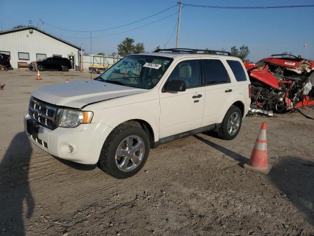 ford escape xlt 2010 1fmcu9dg9aka79716