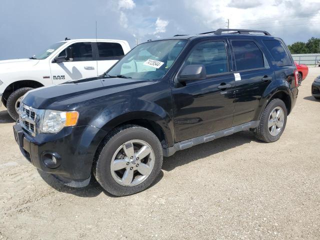 ford escape xlt 2012 1fmcu9dg9cka72929