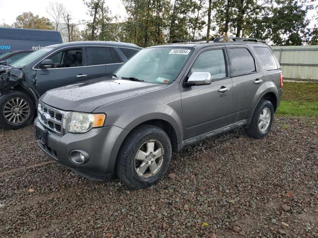 ford escape xlt 2010 1fmcu9dgxaka03793