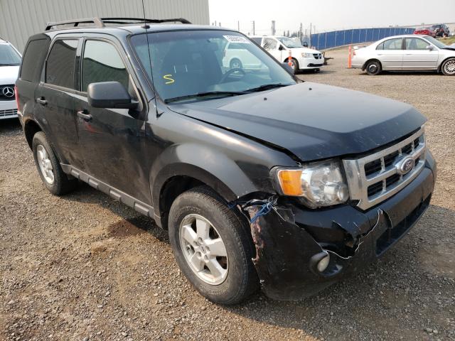 ford escape xlt 2012 1fmcu9dgxcka60711