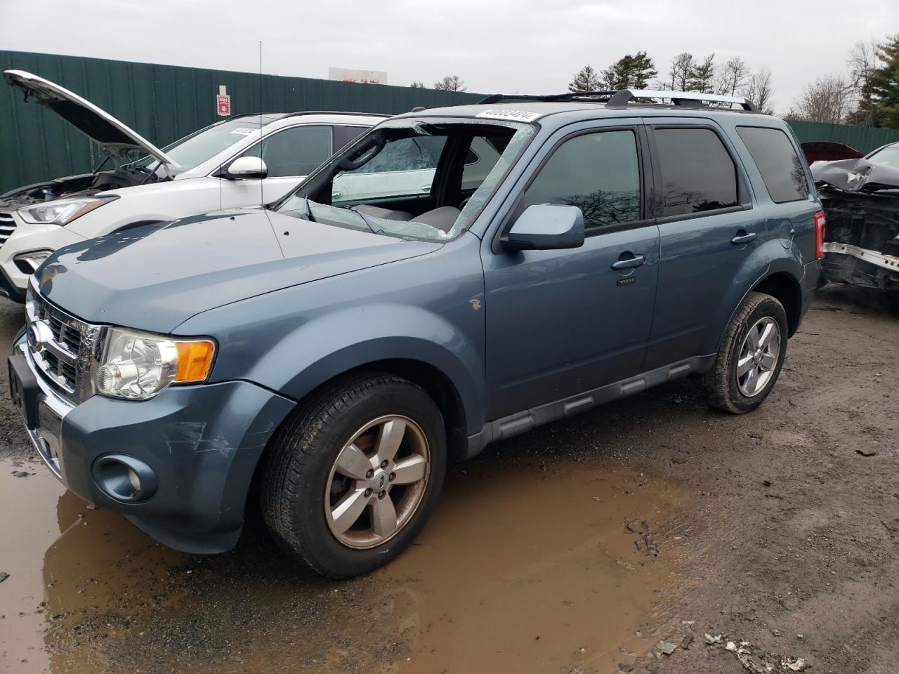 ford escape 2012 1fmcu9e73ckb88271