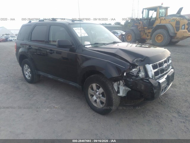 ford escape 2010 1fmcu9eg0aka61796