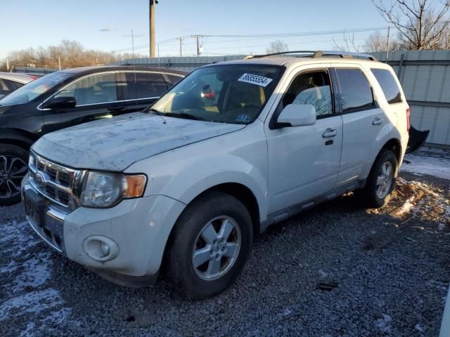 ford escape 2010 1fmcu9eg0akc91824