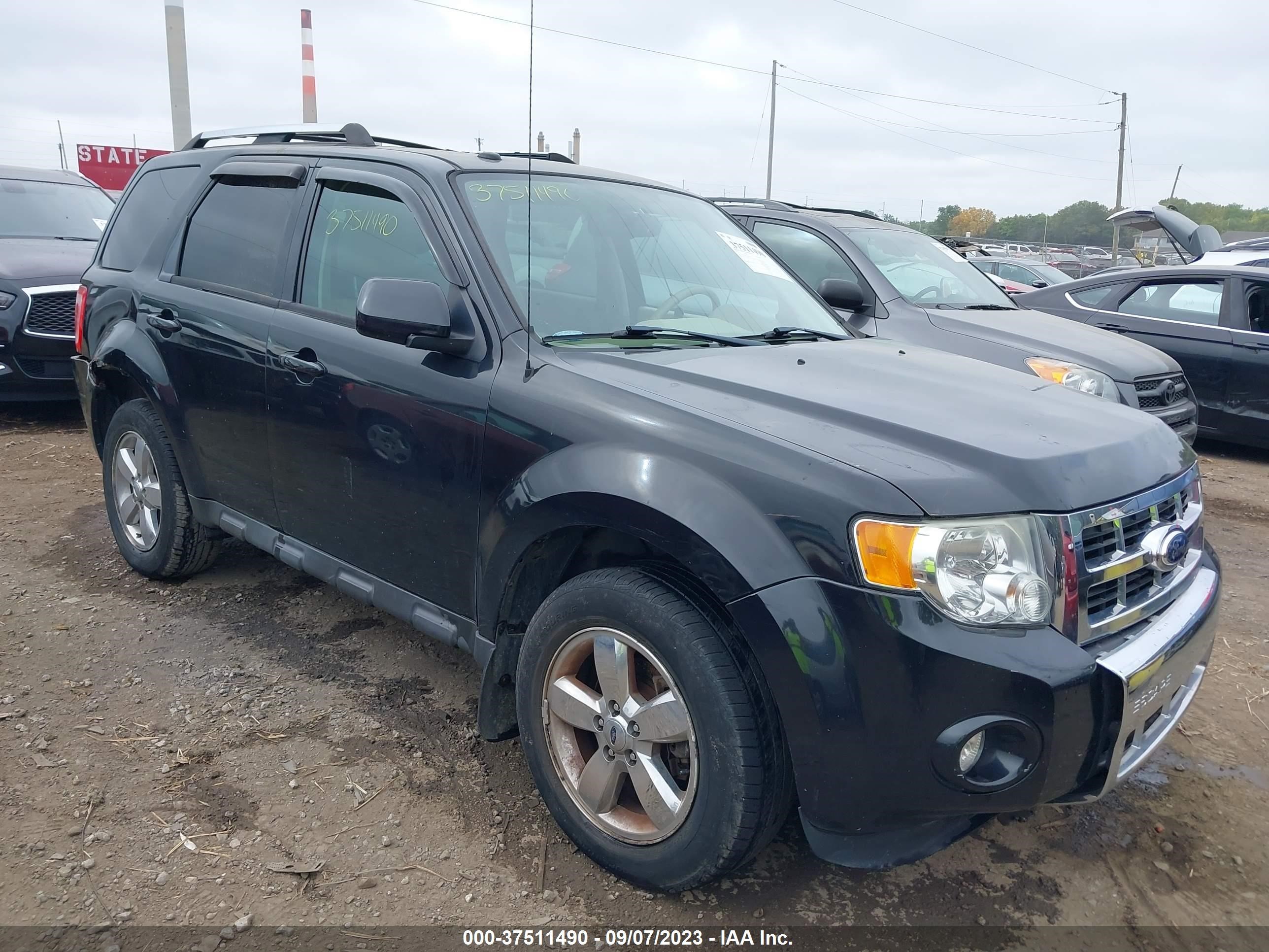 ford escape 2011 1fmcu9eg1bkb11929