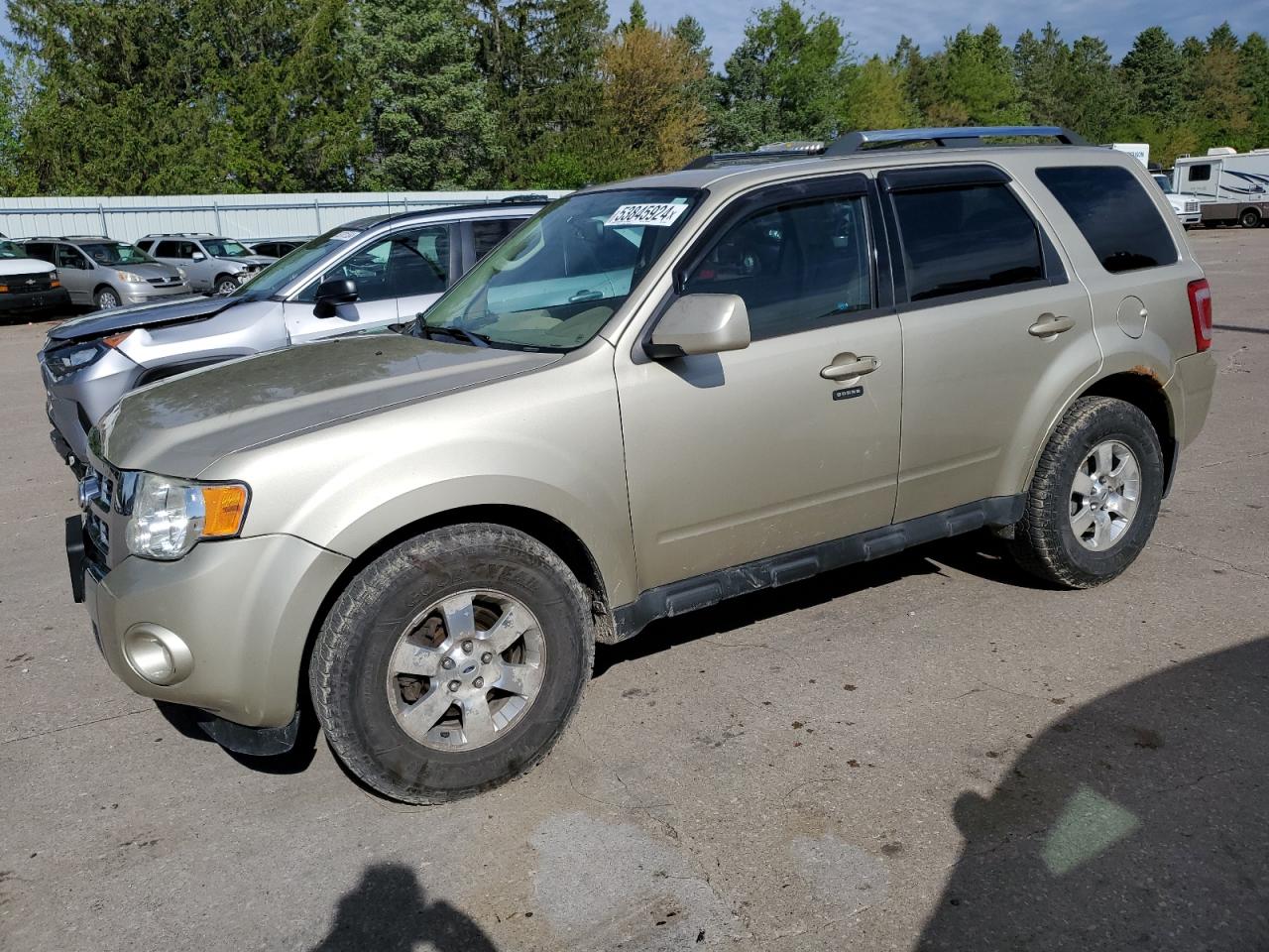 ford escape 2011 1fmcu9eg1bkb72651