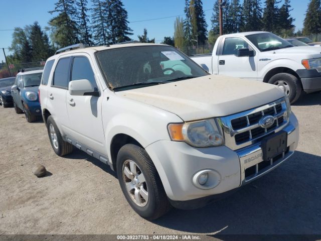 ford escape 2011 1fmcu9eg2bkc42657