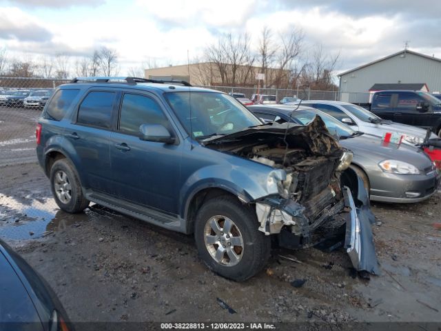 ford escape 2011 1fmcu9eg3bkb56886