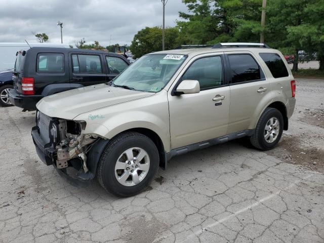 ford escape 2010 1fmcu9eg4akc93897