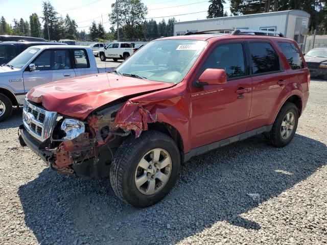 ford escape 2011 1fmcu9eg6bka44633