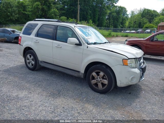 ford escape 2010 1fmcu9eg8akc71014