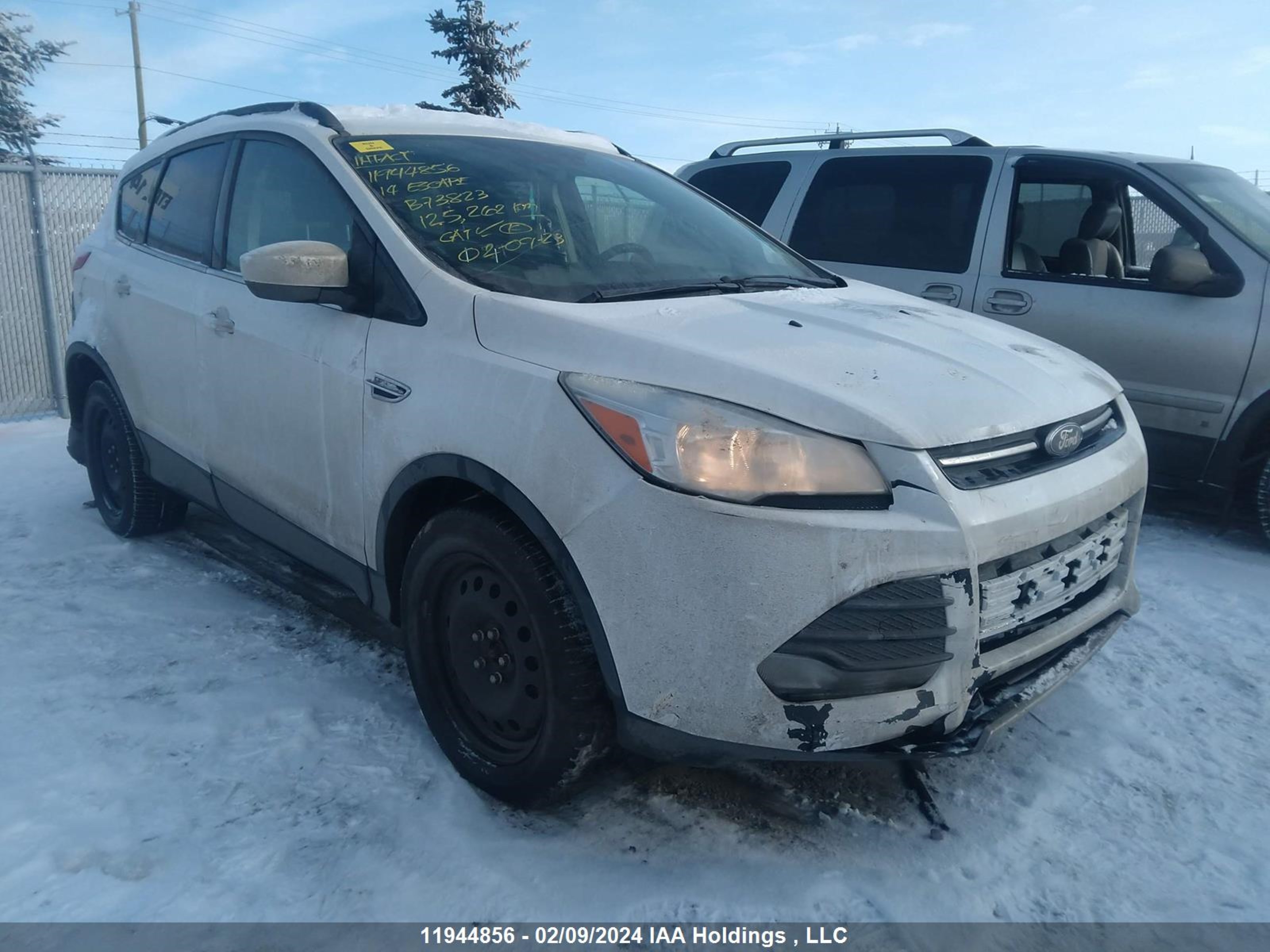 ford escape 2014 1fmcu9gx1eub73823