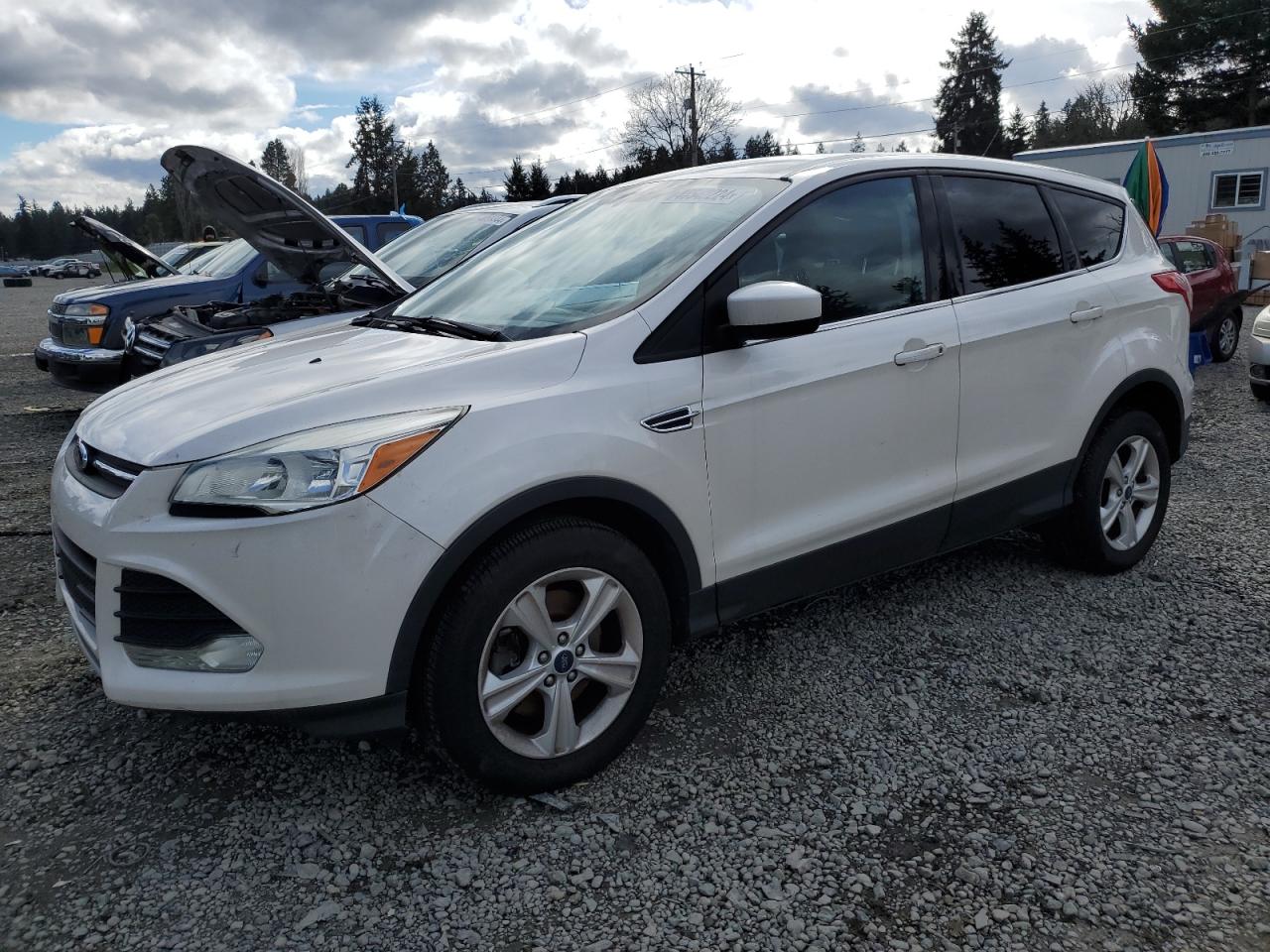 ford escape 2013 1fmcu9gx2duc49841