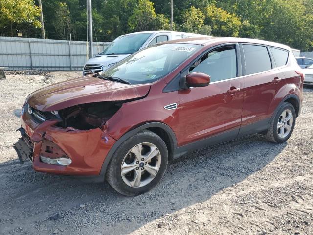 ford escape se 2014 1fmcu9gx4eub41772