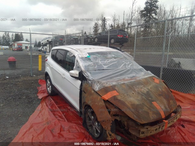 ford escape 2014 1fmcu9gx7eua94043