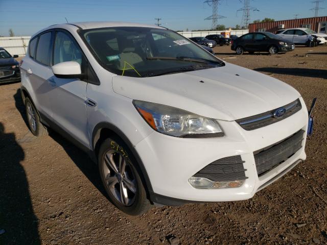 ford escape 2013 1fmcu9gx8dub24195