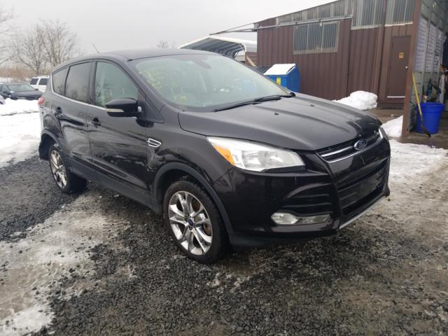 ford escape sel 2013 1fmcu9h95dud62117