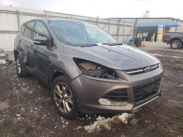 ford escape sel 2013 1fmcu9h99dub16008