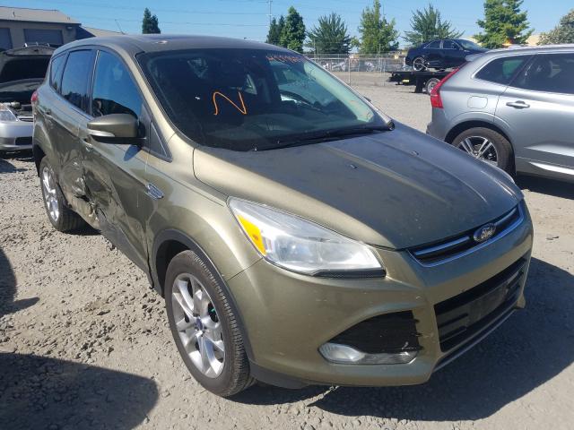 ford escape sel 2013 1fmcu9h99dub86091