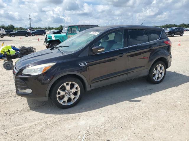 ford escape sel 2013 1fmcu9hx6dub36862