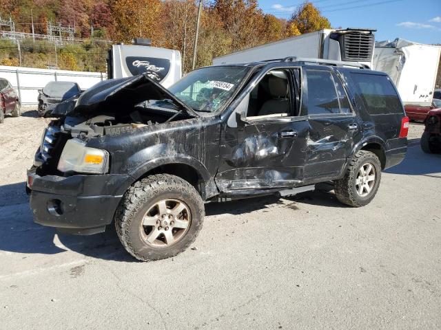 ford expedition 2009 1fmfu16519ea71114