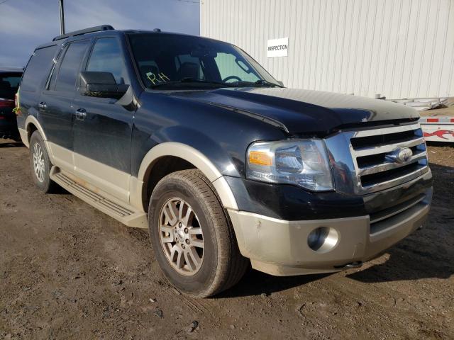 ford expedition 2009 1fmfu18579la11590