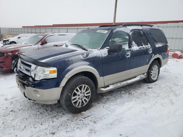 ford expedition 2009 1fmfu185x9eb03801