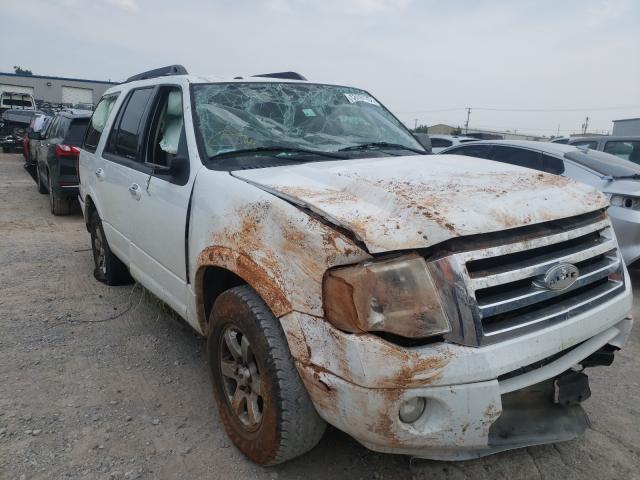 ford expedition 2010 1fmju1f55aeb68511