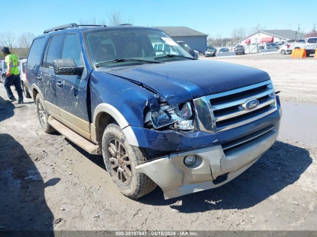 ford expedition 2010 1fmju1j55aeb58763