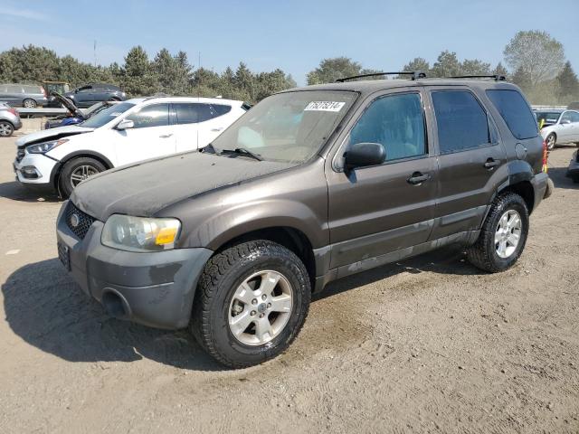 ford escape xlt 2006 1fmyu03106kb58259