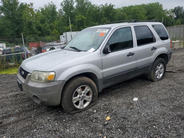 ford escape 2006 1fmyu03116kb17803