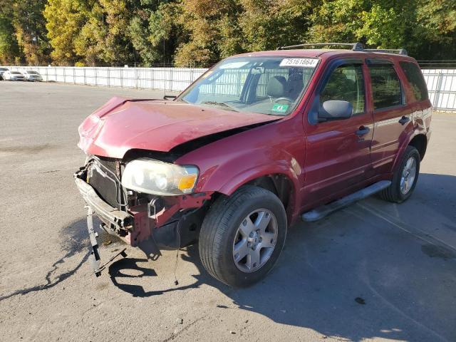 ford escape xlt 2007 1fmyu03117kc06241