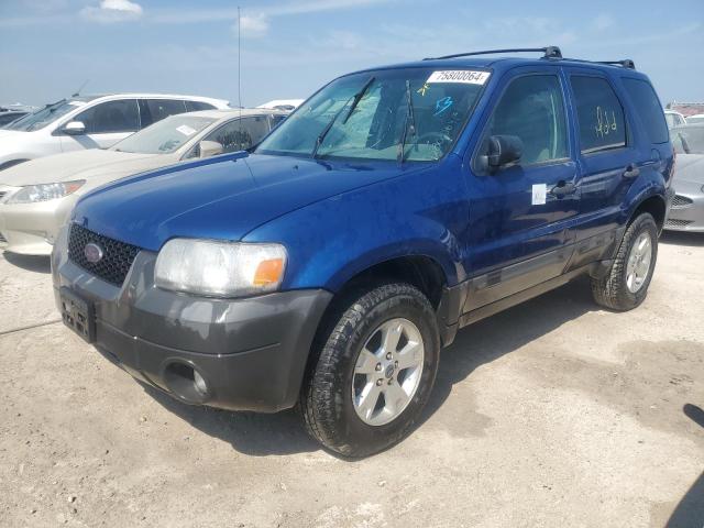 ford escape xlt 2007 1fmyu03117kc07213