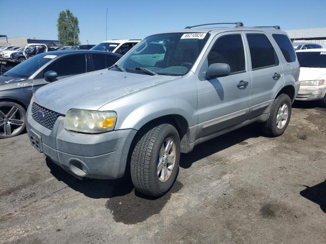 ford escape xlt 2005 1fmyu03125kd76394